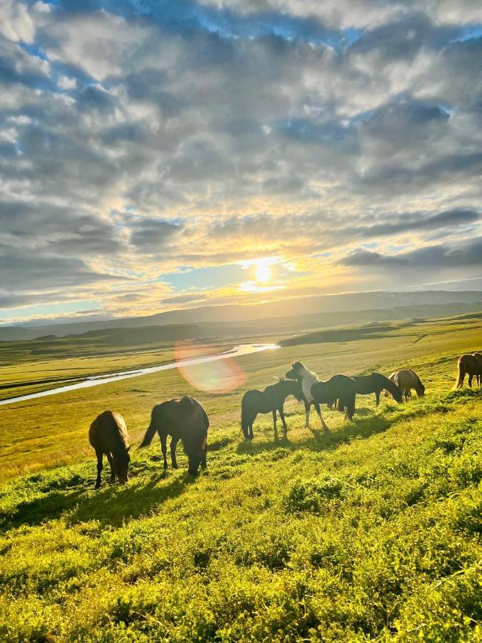 Vithigerthi Stora-Asgeirsa Horse Farm Stay מראה חיצוני תמונה