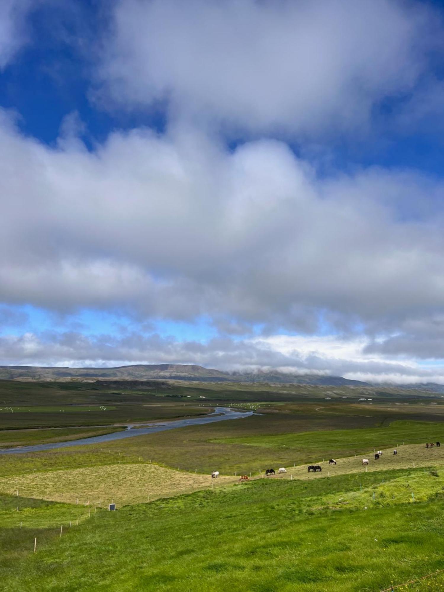 Vithigerthi Stora-Asgeirsa Horse Farm Stay מראה חיצוני תמונה