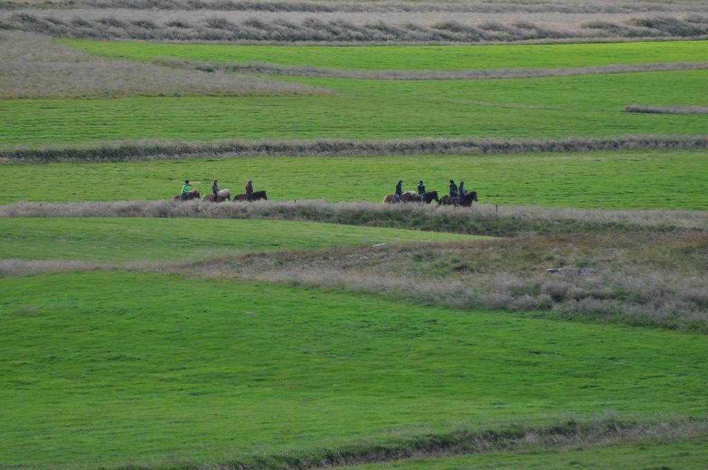 Vithigerthi Stora-Asgeirsa Horse Farm Stay מראה חיצוני תמונה