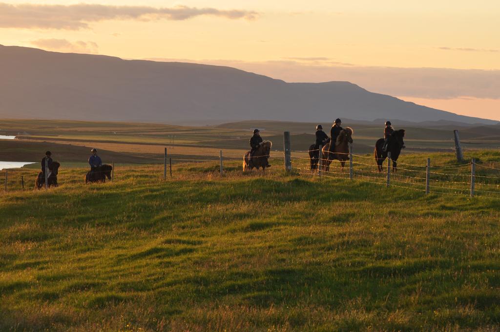 Vithigerthi Stora-Asgeirsa Horse Farm Stay מראה חיצוני תמונה